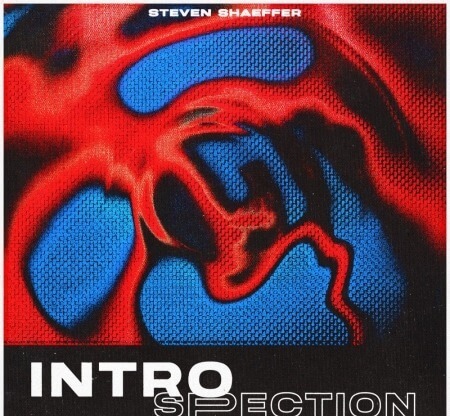 Steven Shaeffer INTROSPECTION (Sample Library) WAV